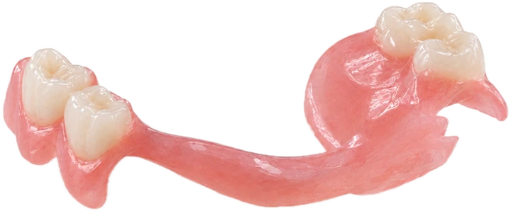 Premium partial denture